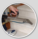 Professional Steam Cleaners For carpets